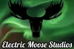 Electric Moose Studios Aurora Adventure W/Portraits & Hot Pizza!! - Second Medium