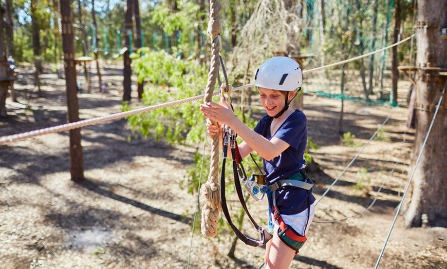 Image 6: Forest Adventures