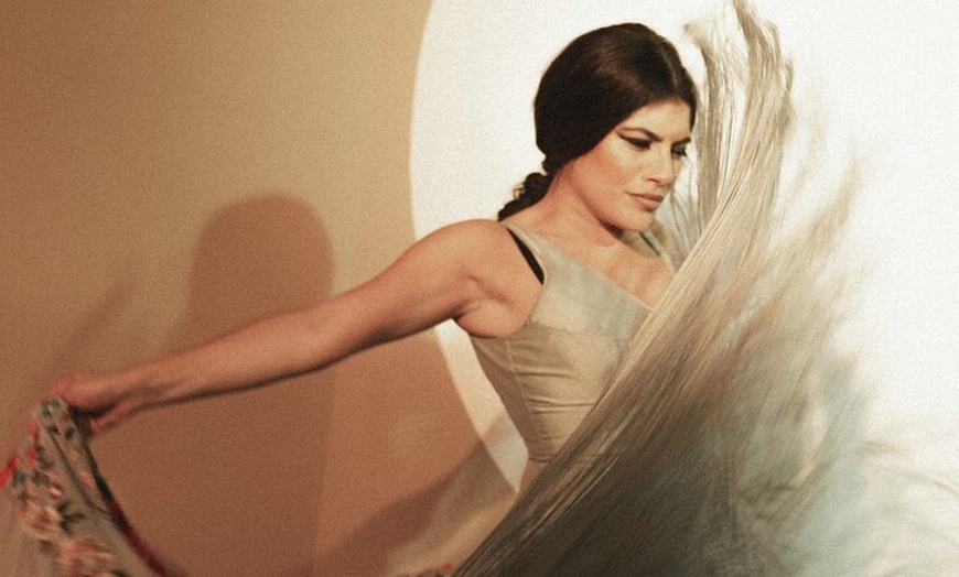 Image 2: Entrada al Centro Cultural Flamenco de Madrid