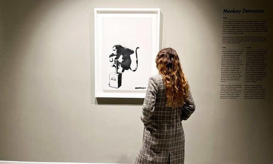 Image 4: Moco Museum Barcelona Admisión