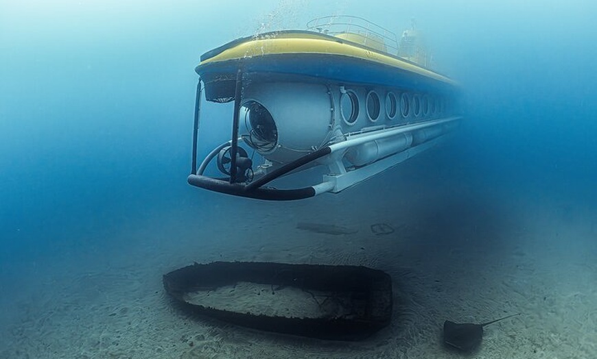 Image 12: Tour submarino Tenerife: una experiencia submarina de 1 hora