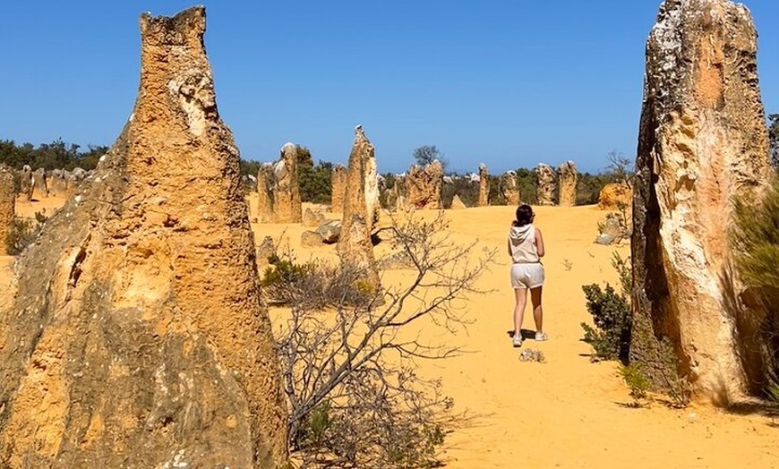 Image 24: Turquoise Coast and Pinnacles Desert, Lunch Included.