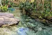 Rock Springs River Tubing & Apopka Wildlife Adventure with Pickup - Second Medium