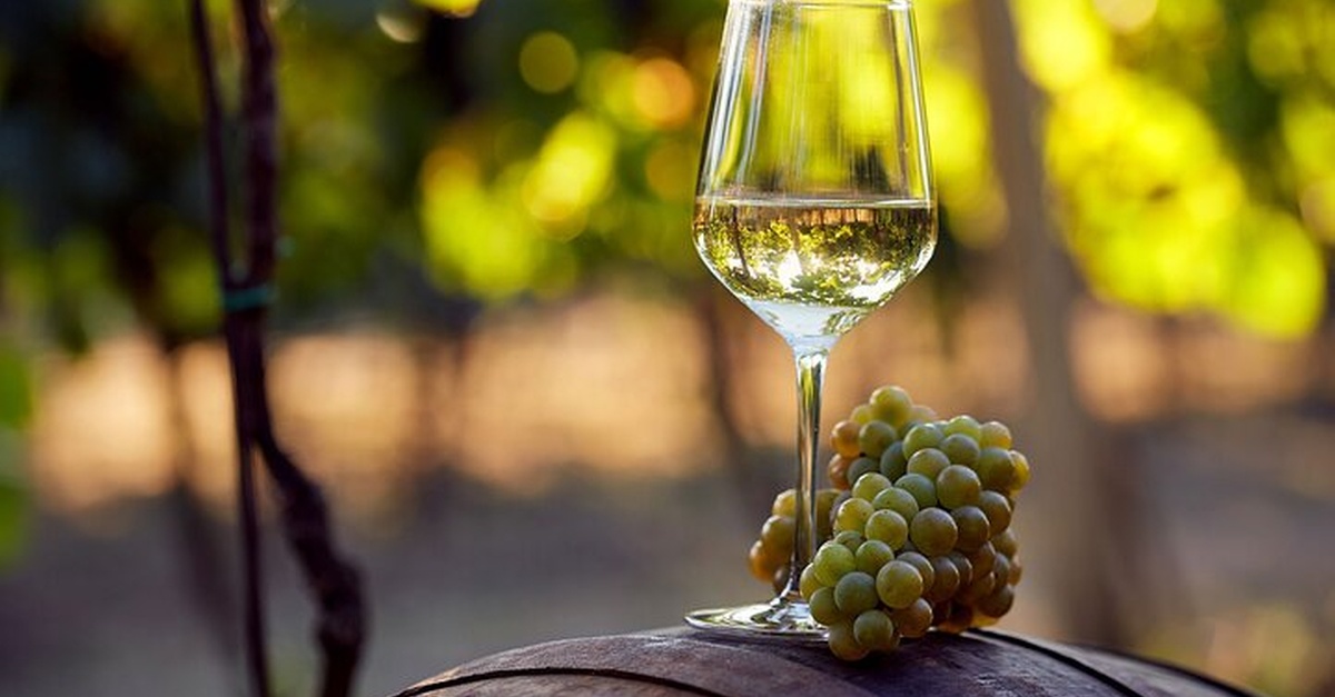 Visita a bodega familiar con degustación en Alicante
