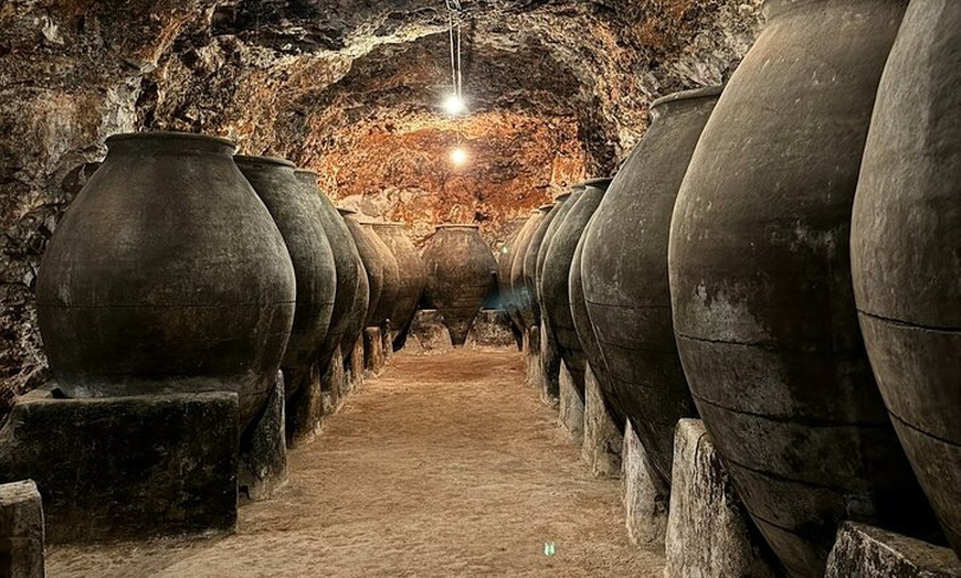 Image 4: Visita Guiada a Bodegas Rurales de Madrid con Cata de Vinos
