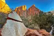 Half Day Guided Hike in Zion National Park - Second Medium