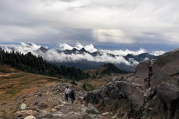 Best of Mount Rainier National Park from Seattle: All-Inclusive Sma...