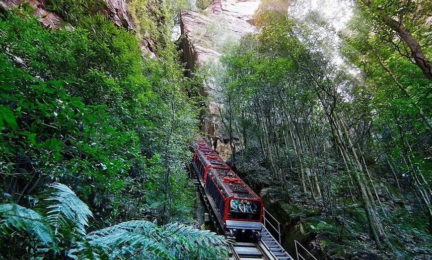 Image 2: Private Sydney Tour to Featherdale Wildlife Park