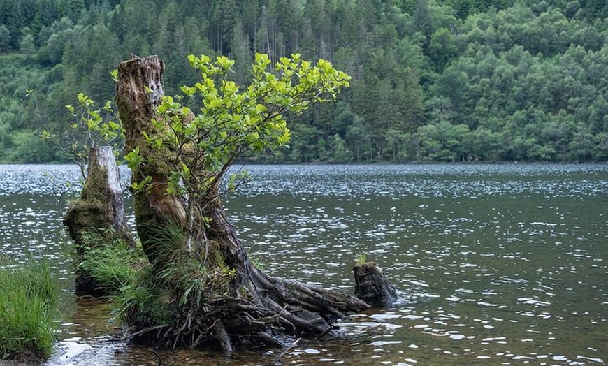 Image 8: Glasgow Shore Excursion Loch Lomond Stirling Castle