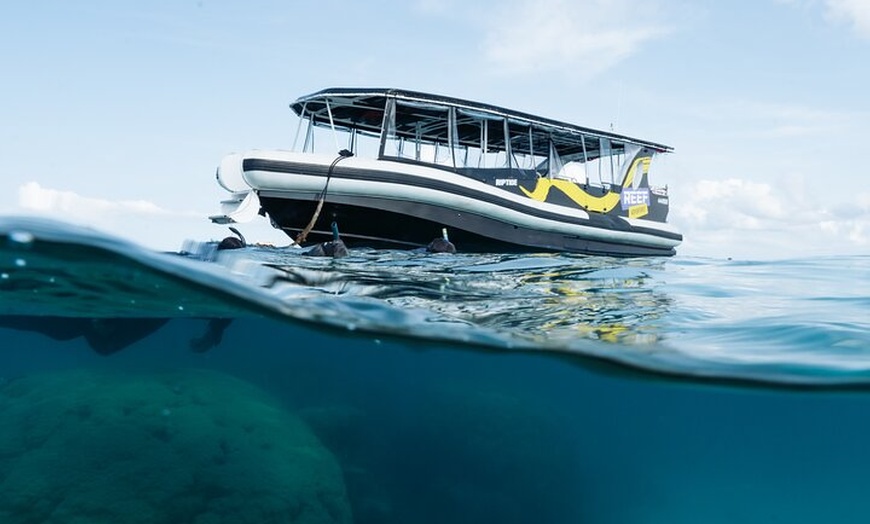 Image 11: Great Barrier Reef Small Group Snorkelling Adventure