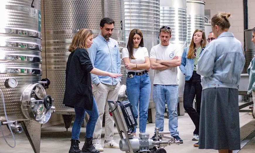 Image 10: A caballo entre viñedos y cata de vinos: Aventura y enoturismo