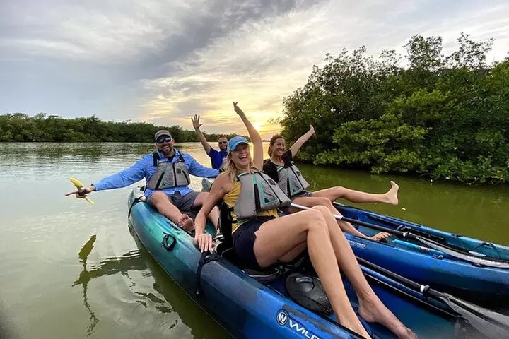 Wildlife Refuge Dolphin, Manatee & Mangrove Kayak or Paddleboarding...