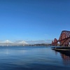 Image 11: Stunning 90-Minute Firth of Forth Sightseeing Cruise Adventure