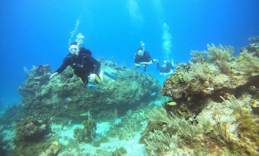 Image 12: VIP Beginner Diving Experience: MUSA Statues & Reef Adventure