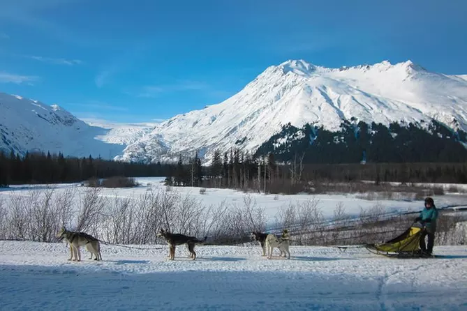3.5-Hour Exit Glacier by Dog Team Adventure - Primary Image