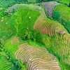 Image 16: ✈ THAILANDIA CENTRALE | Bangkok - Viaggio combinato in famiglia: Ba...
