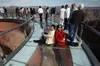 Grand Canyon Skywalk & Seven Magic Mountains Tour