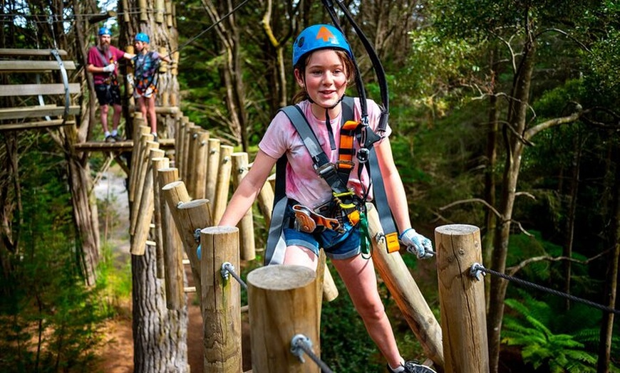 Image 5: Launceston Hollybank Tree Ropes Experience