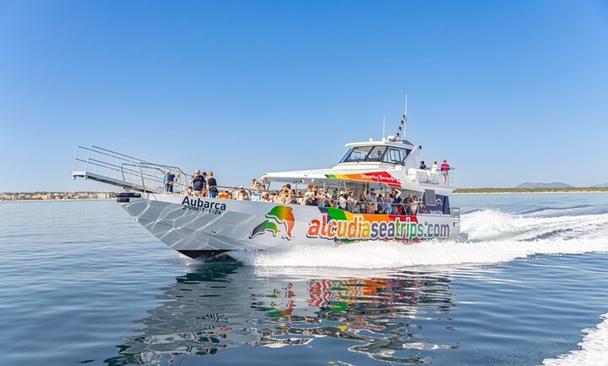 Image 19: Dolphin Adventure : Avistamiento de Delfines en Barco Rápido en Mal...