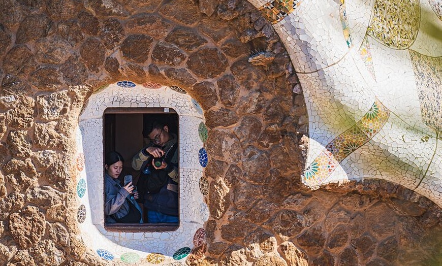 Image 5: Barcelona : Visita Guiada al Park Güell & Entradas con Entrada Rápida
