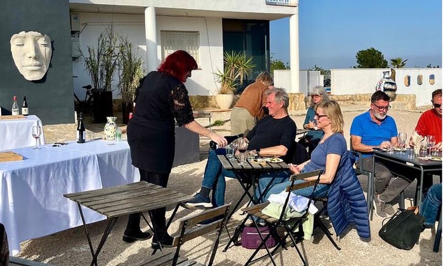 Image 13: Tour guiado Museo de Arte Contemporáneo y Parque de Esculturas