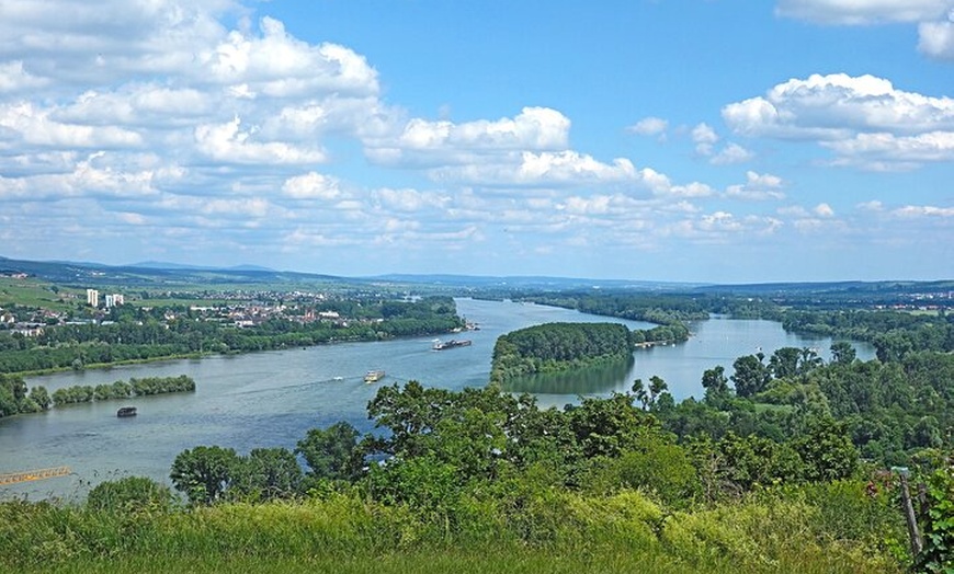 Image 3: Frankfurt Rüdesheim Halbtägige Privattour mit Seilbahnfahrt