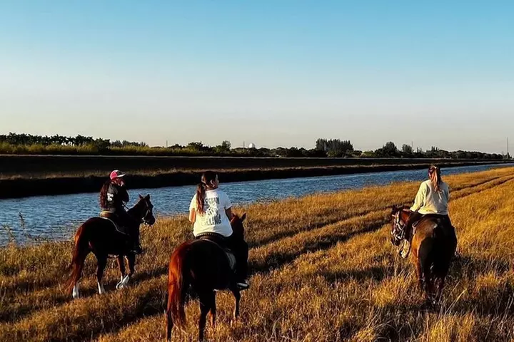 Horseback Riding in Miami