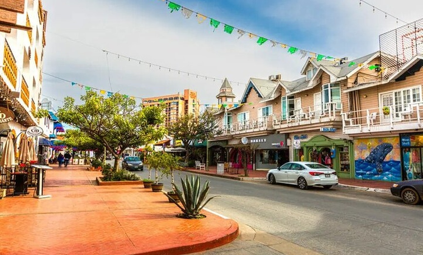 Image 6: City Tour + Massage in Ensenada: Private Shore Excursion
