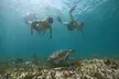 3 in 1 Catamaran Tour to Isla Mujeres from Cancun All Inclusive - Second Medium