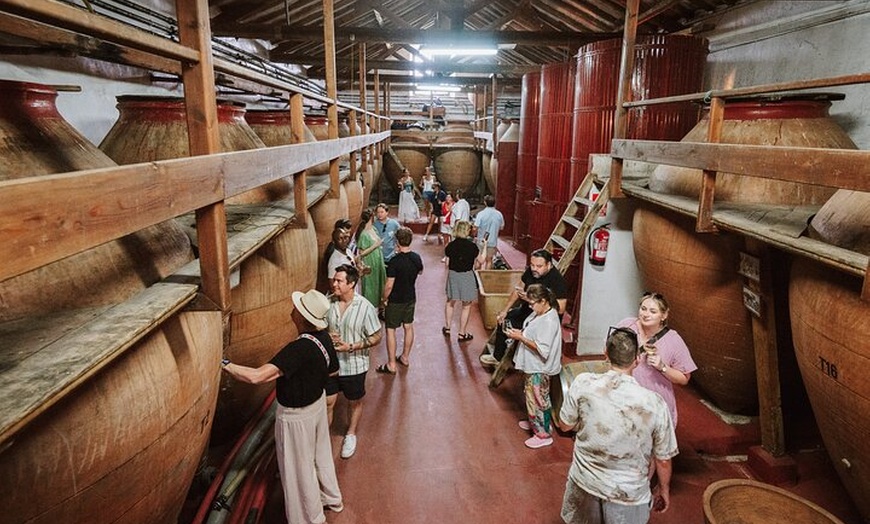Image 7: Visita Guiada a Bodegas Rurales de Madrid con Cata de Vinos