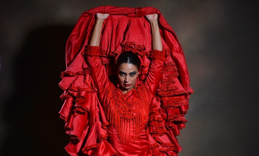 Image 6: Show Flamenco Auténtico en el Teatro Flamenco Barcelona