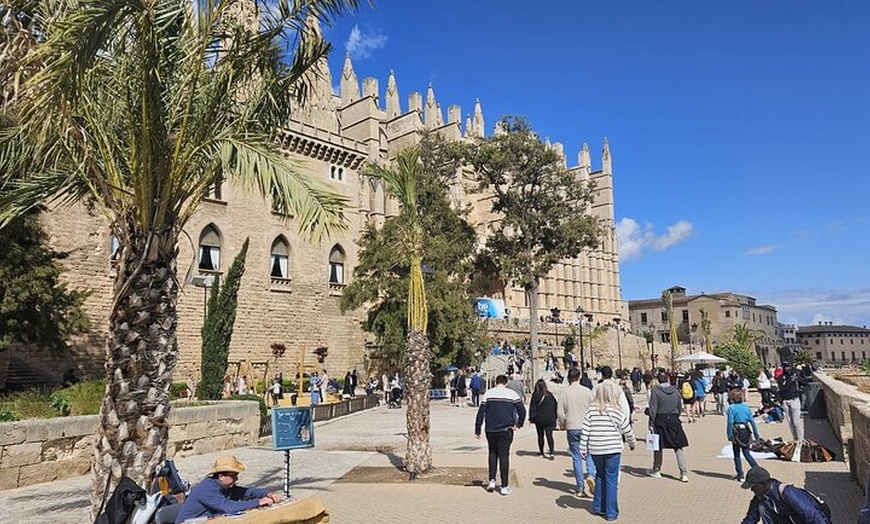 Image 2: Palacios, Jardines y Catedral de Palma