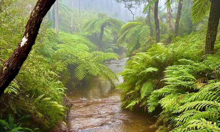 Image 3: Blue Mountains Day Tours W Scenic World and Lunch