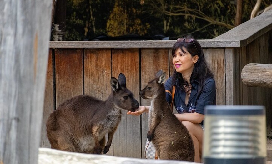 Image 14: Blue Mountains Day Tour from Sydney