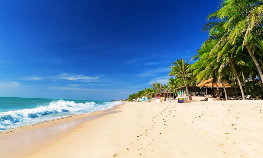 Image 15: ✈ VIETNAM DEL SUD | Ho Chi Minh e Mũi Né - Combinato Ho Chi Minh - ...