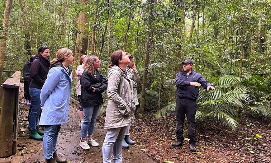 Image 5: Cairns: Aboriginal Cultural Tour Atherton Tablelands