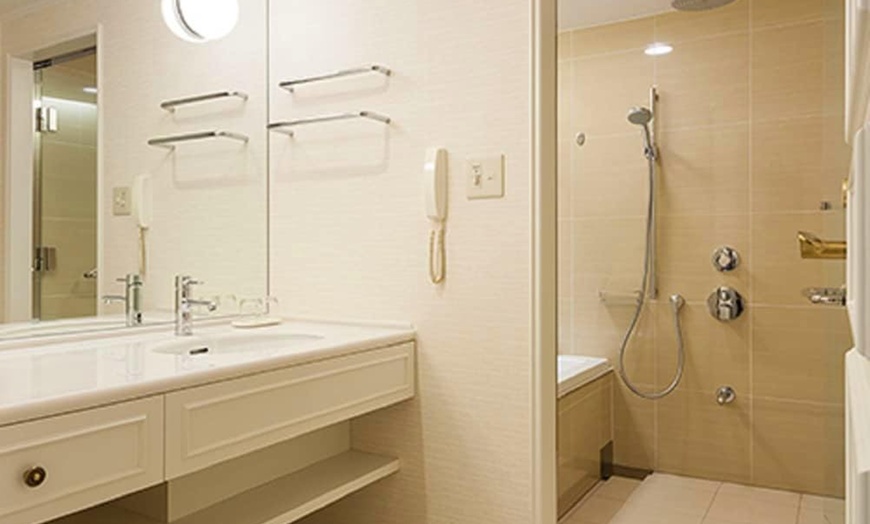 Image 104: ✈ JAPAN | Tokyo - Hotel East21 Tokyo 4*, 3 nights - City break