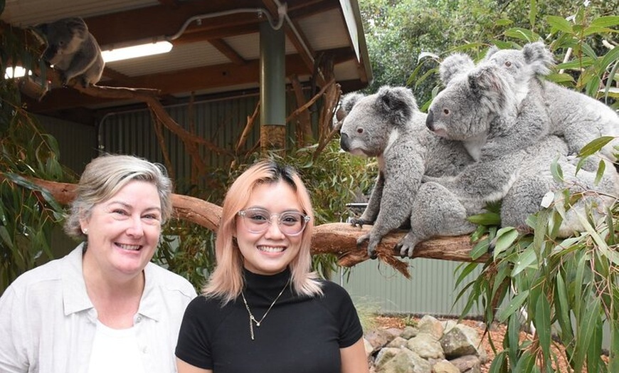 Image 5: Blue Mountains Scenic, Wildlife & Nature Day Tour from Sydney