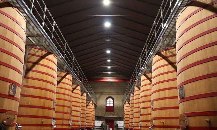 Image 15: Clase magistral de acceso y degustación exclusiva de bodegas secret...