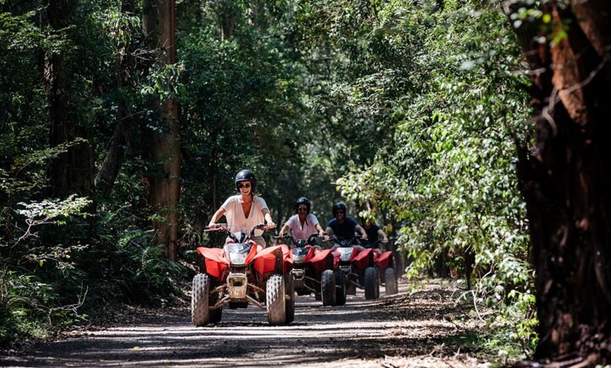 Image 13: Quad Biking, Koalas and Kangaroos - Private Tour