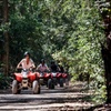 Image 13: Quad Biking, Koalas and Kangaroos - Private Tour
