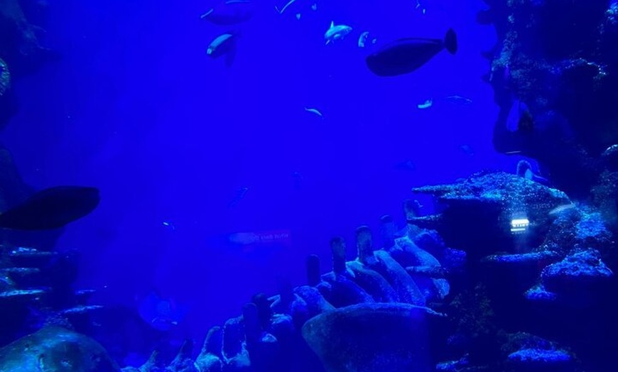 Image 34: Luxury Private Tour in London