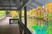 Silver Springs Jungle Kayaking and Paddleboarding - Second Medium