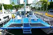 Oahu Catamaran Snorkel Tour: See Turtles 100% Guaranteed - Second Medium