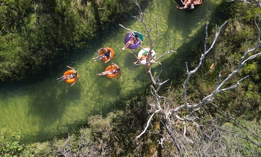 Image 22: Dingos 2 Day K'Gari (Fraser Island) 4WD Tag-Along Tour
