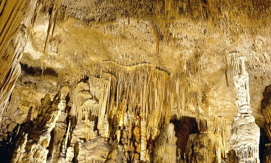 Image 7: Excursión a las Cuevas del Drach y traslado de regreso desde Cala D...