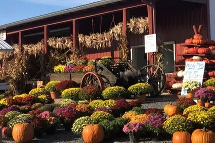 $22 For 2 Passes For The Back 40 PLUS a U-Pick Pumpkin (Reg. $44)