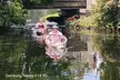 2-Hour Clear Kayak and Paddleboard(SUP) Rental in Orlando - Second Medium