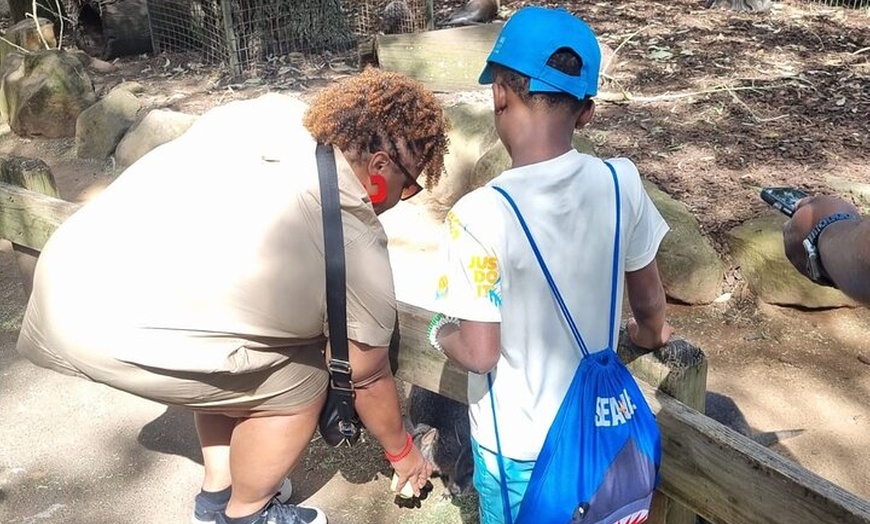 Image 41: PVT Guided Tour: Sydney Opera House and Featherdale Wildlife Park