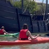 Image 14: Tour en Kayak o Alquiler por Sevilla